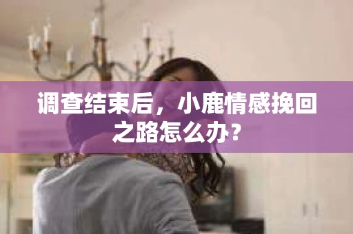 调查结束后，小鹿情感挽回之路怎么办？