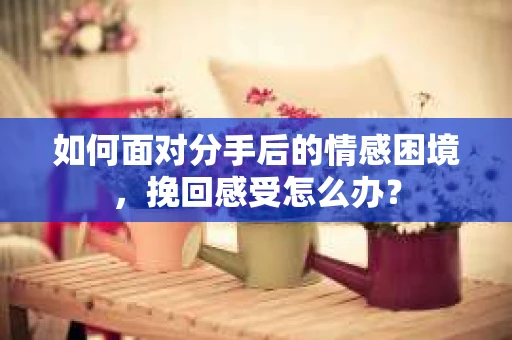 如何面对分手后的情感困境，挽回感受怎么办？