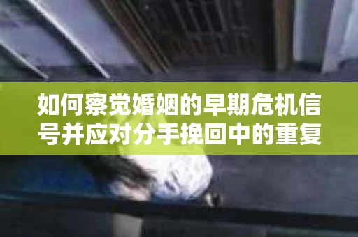 如何察觉婚姻的早期危机信号并应对分手挽回中的重复错误？