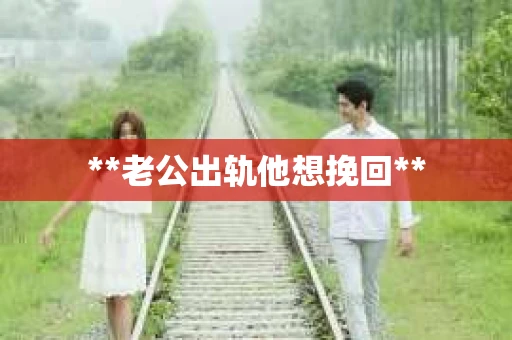 **老公出轨他想挽回**