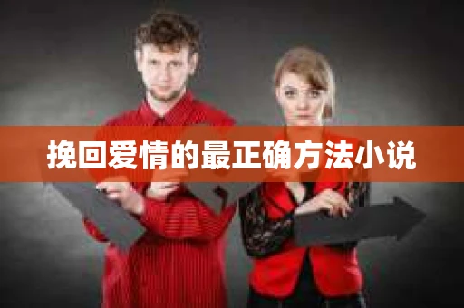 挽回爱情的最正确方法小说