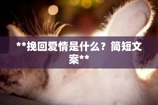 **挽回爱情是什么？简短文案**