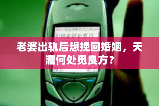 老婆出轨后想挽回婚姻，天涯何处觅良方？