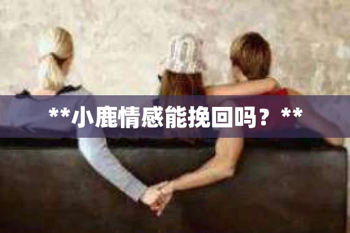 **小鹿情感能挽回吗？**