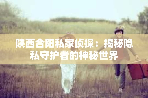 陕西合阳私家侦探：揭秘隐私守护者的神秘世界