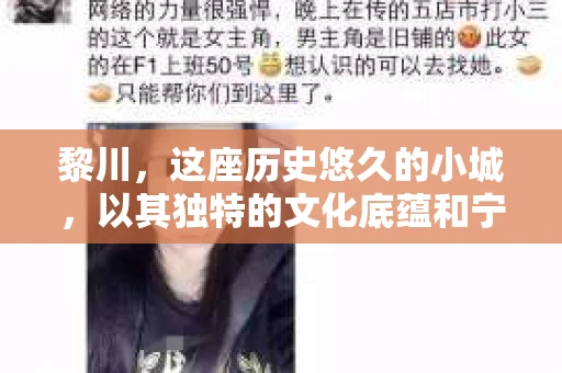 黎川，这座历史悠久的小城，以其独特的文化底蕴和宁静的生活节奏吸引着无数游客。然而，在这样一个看似平静的城市里，你是否会好奇，有没有私家侦探机构的存在呢？今天，就让我带你一探究竟。