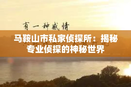 马鞍山市私家侦探所：揭秘专业侦探的神秘世界