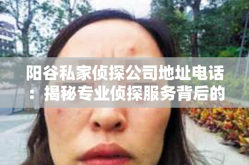 阳谷私家侦探公司地址电话：揭秘专业侦探服务背后的故事