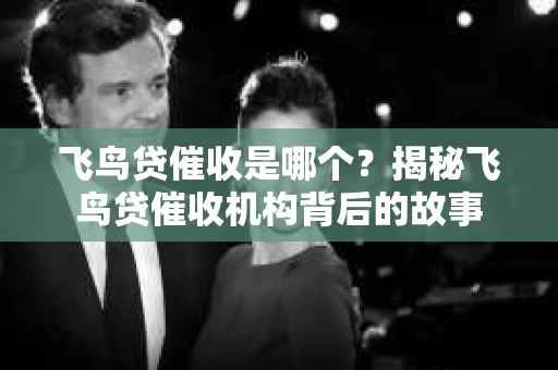 飞鸟贷催收是哪个？揭秘飞鸟贷催收机构背后的故事