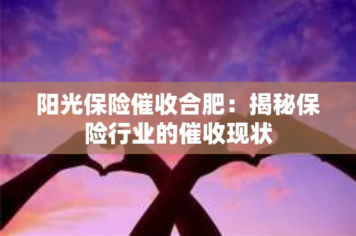 阳光保险催收合肥：揭秘保险行业的催收现状