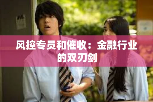 风控专员和催收：金融行业的双刃剑