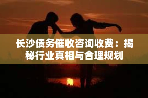 长沙债务催收咨询收费：揭秘行业真相与合理规划