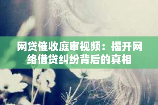 网贷催收庭审视频：揭开网络借贷纠纷背后的真相