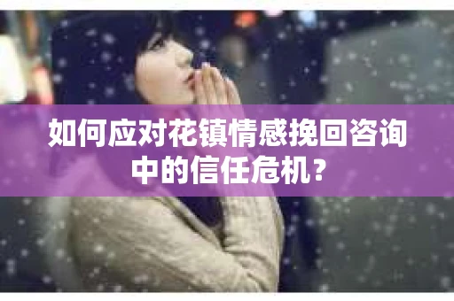 如何应对花镇情感挽回咨询中的信任危机？