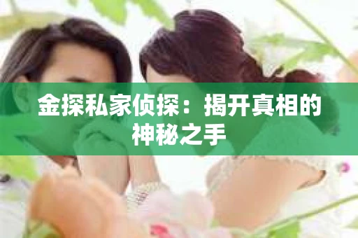 金探私家侦探：揭开真相的神秘之手