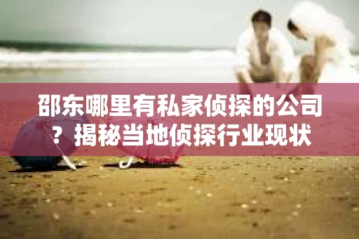 邵东哪里有私家侦探的公司？揭秘当地侦探行业现状