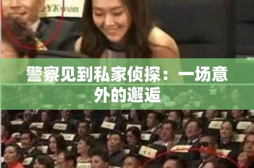 警察见到私家侦探：一场意外的邂逅