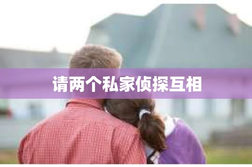 请两个私家侦探互相