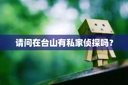 请问在台山有私家侦探吗？