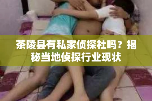 茶陵县有私家侦探社吗？揭秘当地侦探行业现状