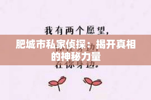 肥城市私家侦探：揭开真相的神秘力量