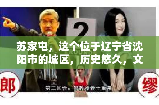 苏家屯，这个位于辽宁省沈阳市的城区，历史悠久，文化底蕴深厚。近年来，随着社会的发展，人们对于私家侦探的需求也逐渐增加。那么，苏家屯有私家侦探吗？今天，我们就来聊聊这个话题。