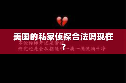 美国的私家侦探合法吗现在? 美国的私家侦探合法吗现在?