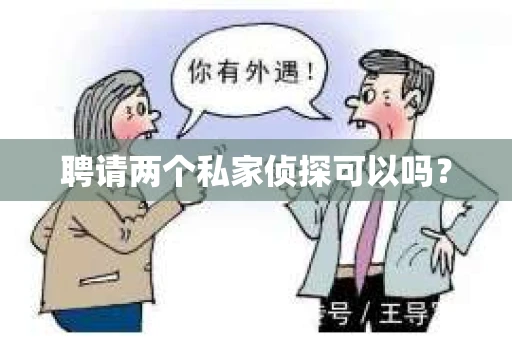 聘请两个私家侦探可以吗？