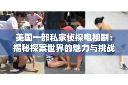 美国一部私家侦探电视剧：揭秘探案世界的魅力与挑战
