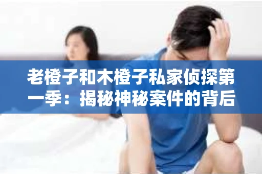 老橙子和木橙子私家侦探第一季：揭秘神秘案件的背后
