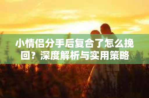 小情侣分手后复合了怎么挽回?深度解析与实用策略 小情侣分手后复合了怎么挽回?深度解析与实用策略