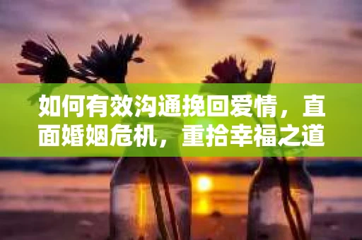 如何有效沟通挽回爱情，直面婚姻危机，重拾幸福之道
