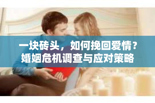 一块砖头，如何挽回爱情？婚姻危机调查与应对策略