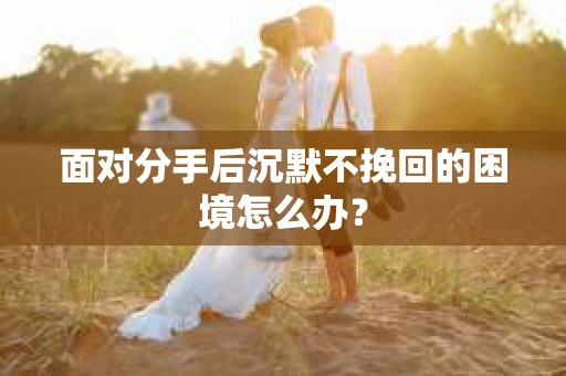 面对分手后沉默不挽回的困境怎么办？